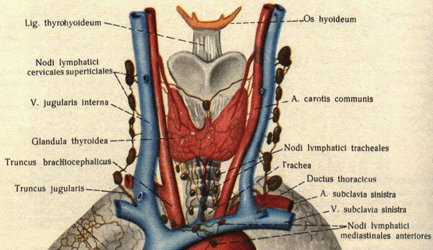 Натисни за увеличение